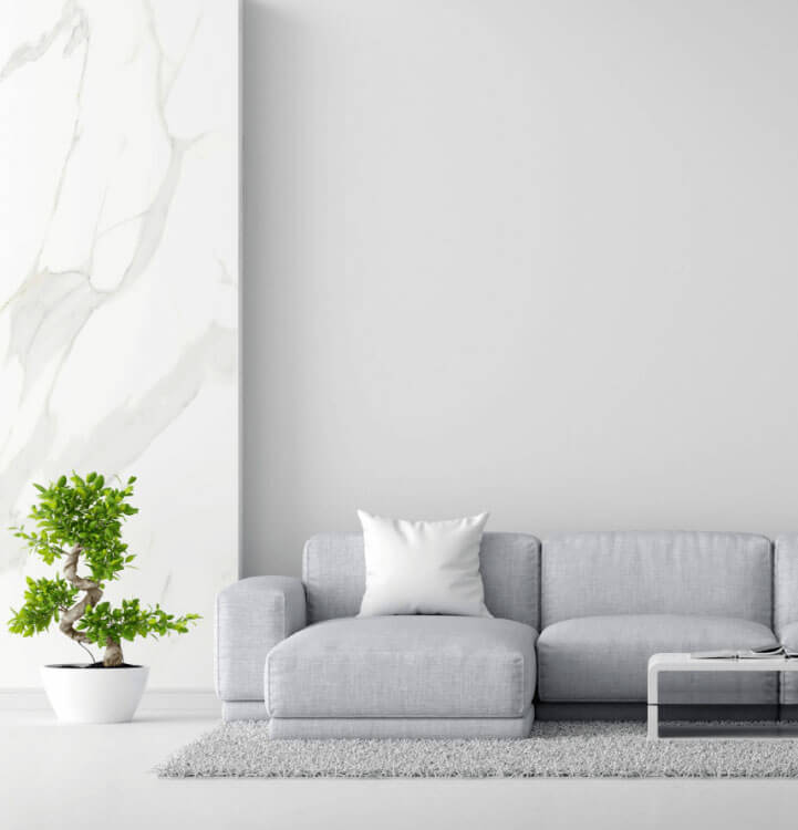 Luxurious Living Room